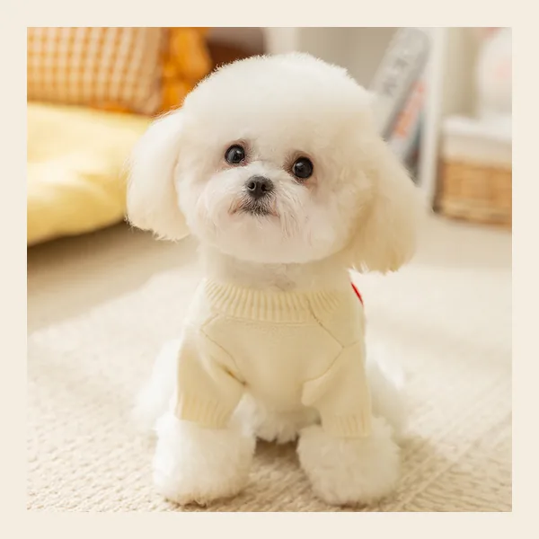 Letter & Smile Applique Knit dog sweater, style PK-W04